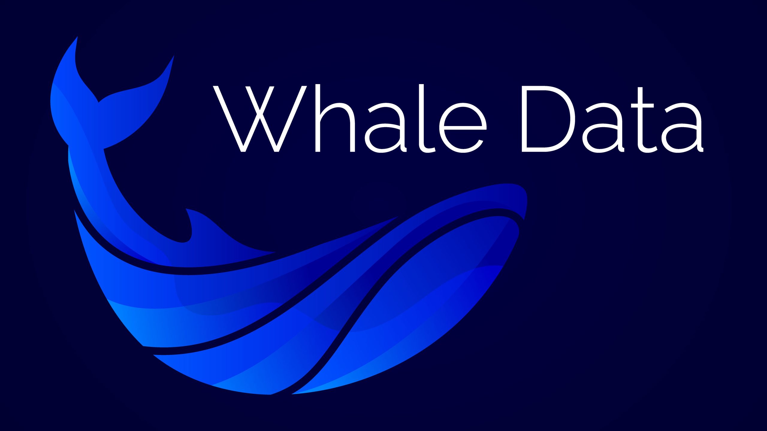 WhaleData.io – Premium Crypto Analytics Domain for Sale | Track Whale Movements & Market Insights