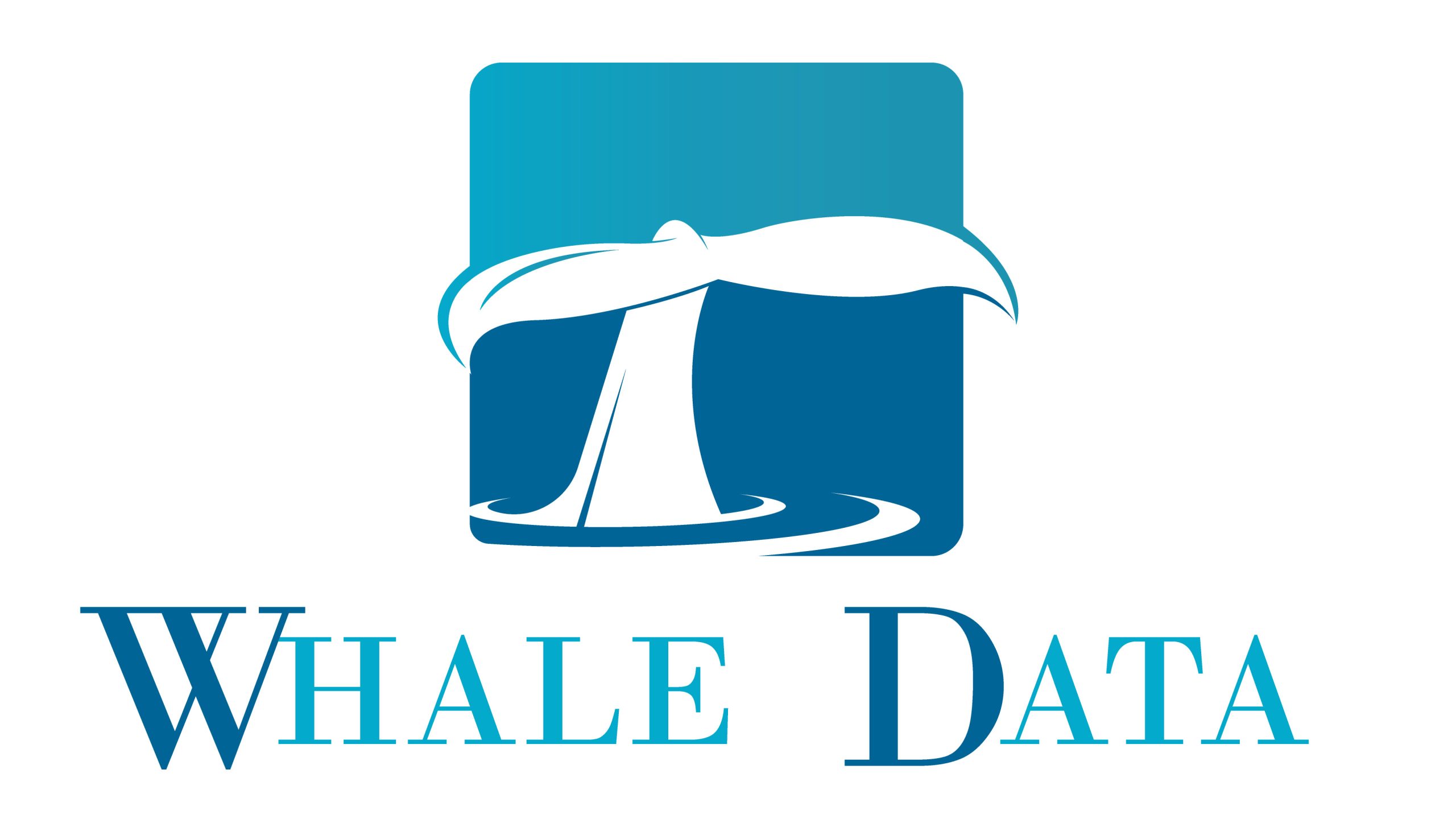 WhaleData.org – Premium Whale Monitoring Domain for Sale | Global Crypto Research Authority
